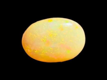 Opal 2026-0041