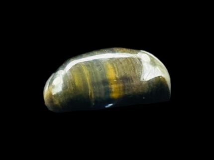 Hawk’s Eye 2026-0052