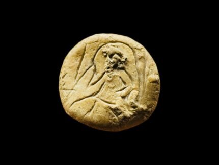 Angel Shark Vertebra Fossil 2026-0063