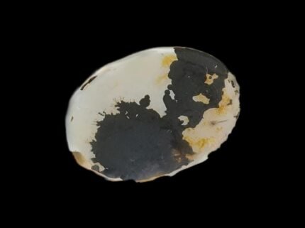 Picture Agate (Natural) 2026-0095