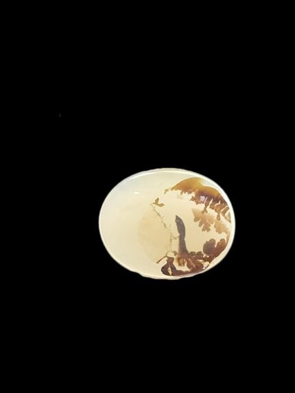 Picture Agate (Natural) 2026-0099